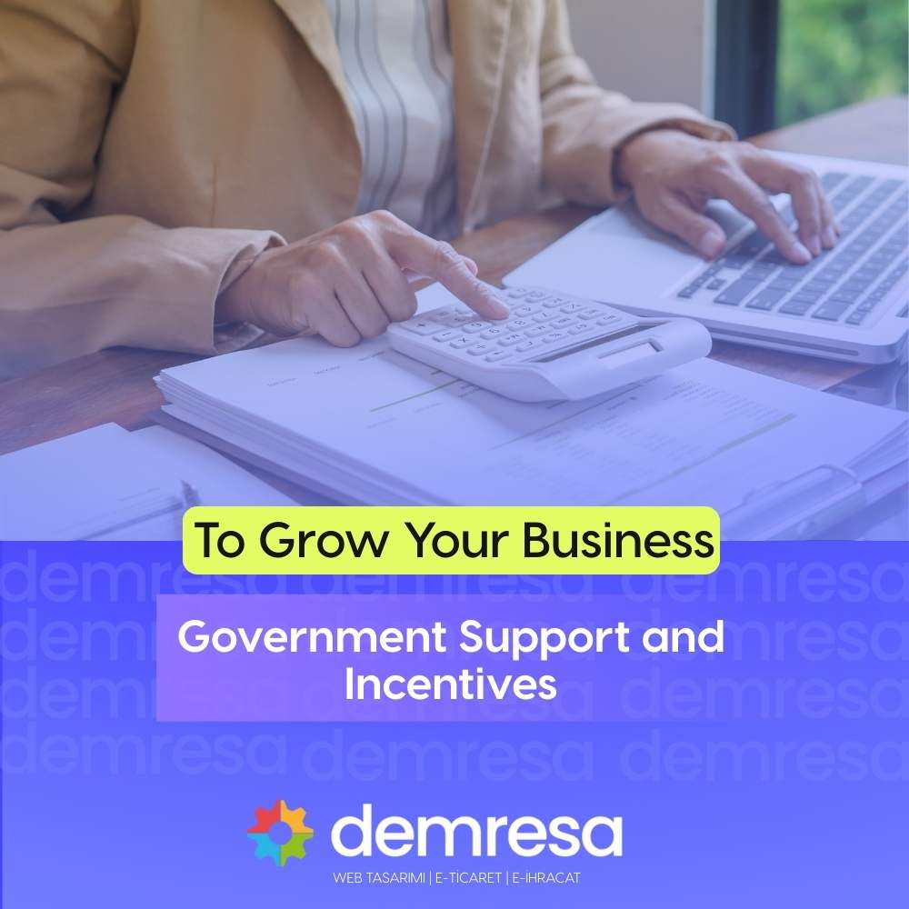 government support and incentives to grow your business
