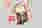 2025 Instagram Image Sizes